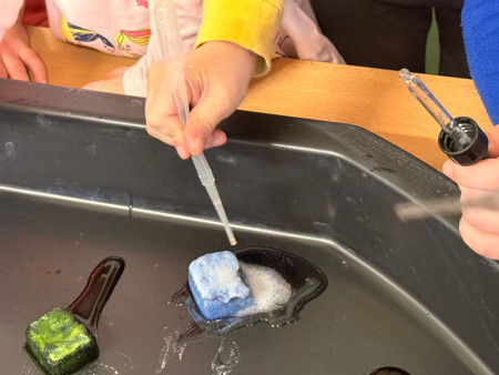 Společný den radosti